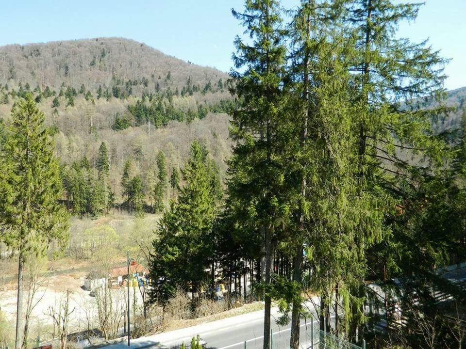 Casa Cristian Villa Синая Екстериор снимка